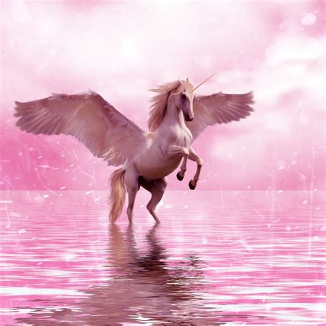 The Symbolism behind Unicorn Magic